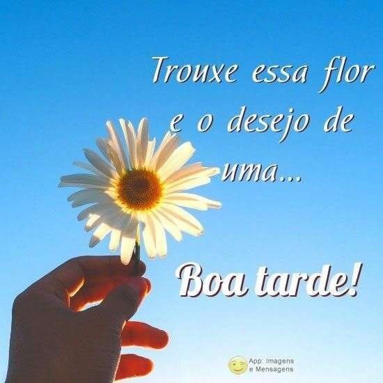 Boa tarde