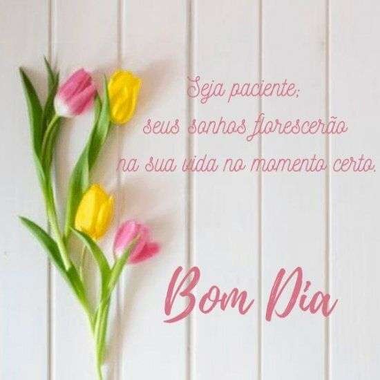 Bom dia