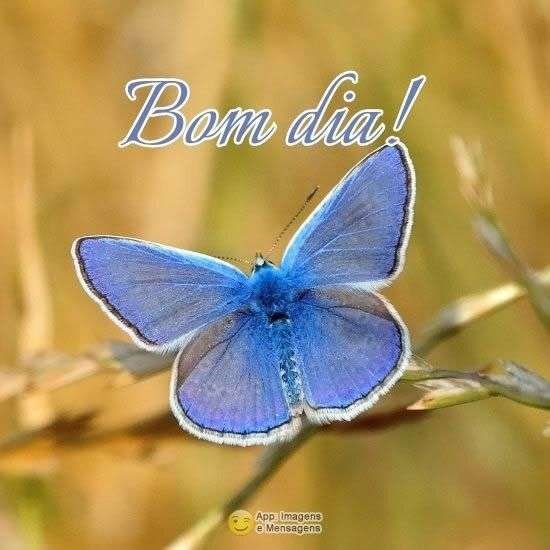 Bom dia
