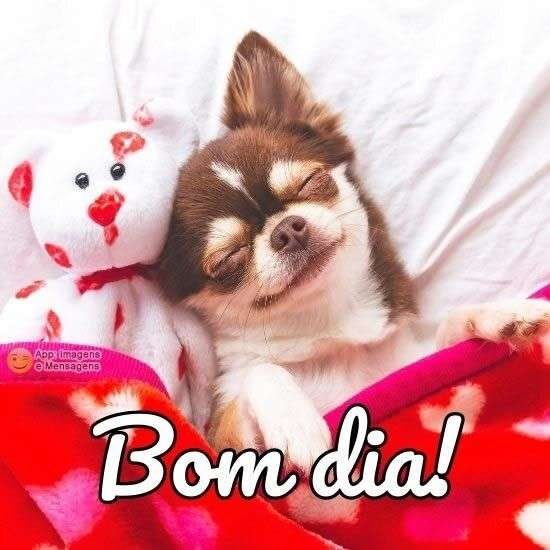 Bom dia