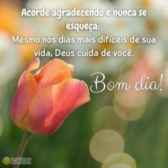 Bom dia