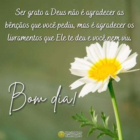 Bom dia