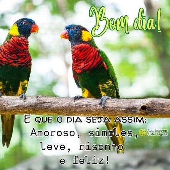 Bom dia