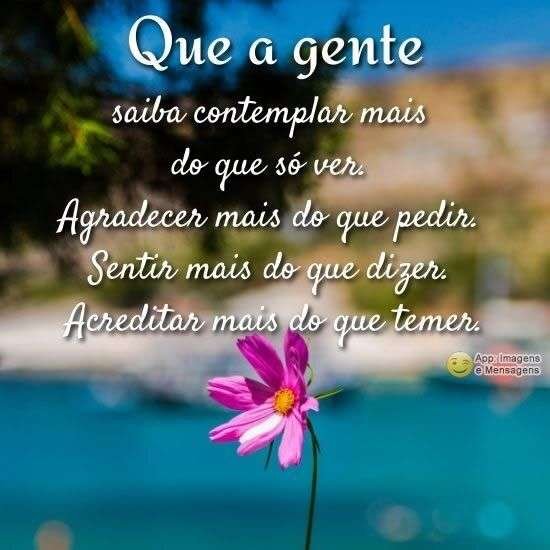 Comtemplar e agradecer