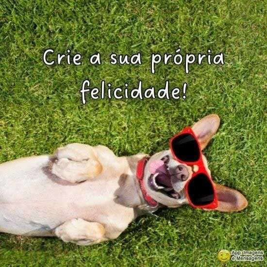Crie sua felicidade