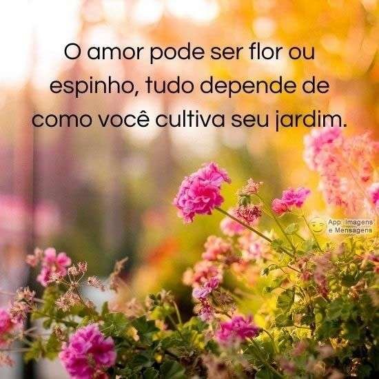 Cultivando seu jardim