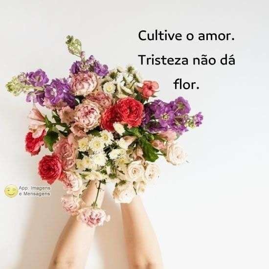 Cultive o amor
