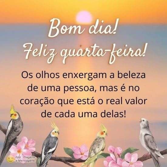 Feliz quarta-feira