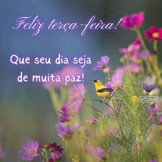 Feliz terça-feira
