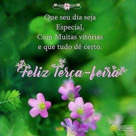 Feliz terça-feira