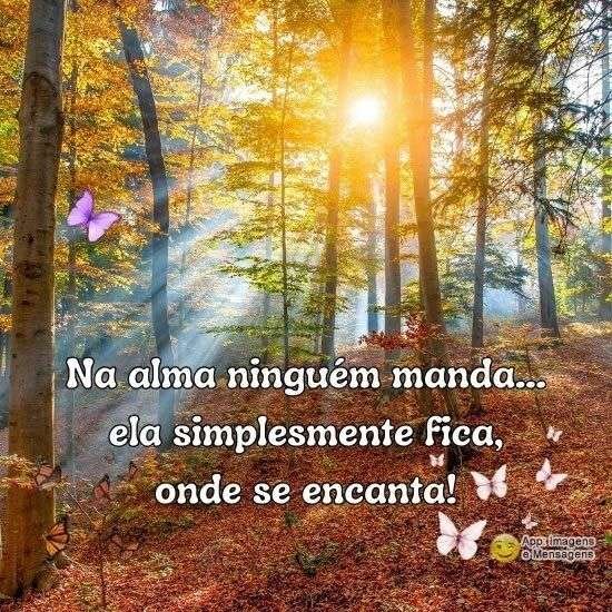 Na alma ninguém manda
