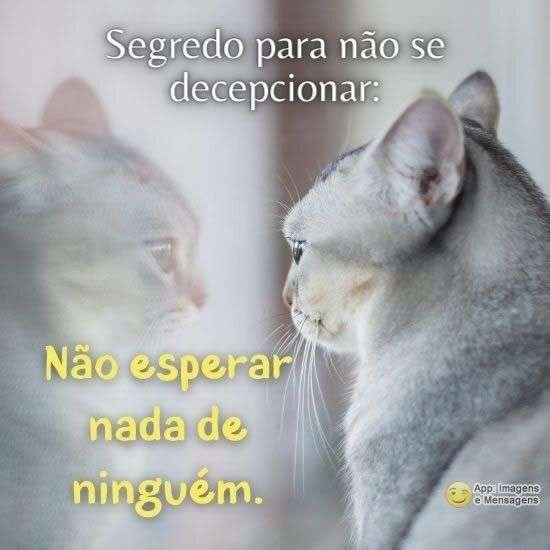 Não se decepcionar