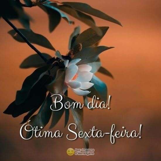Ótima sexta-feira