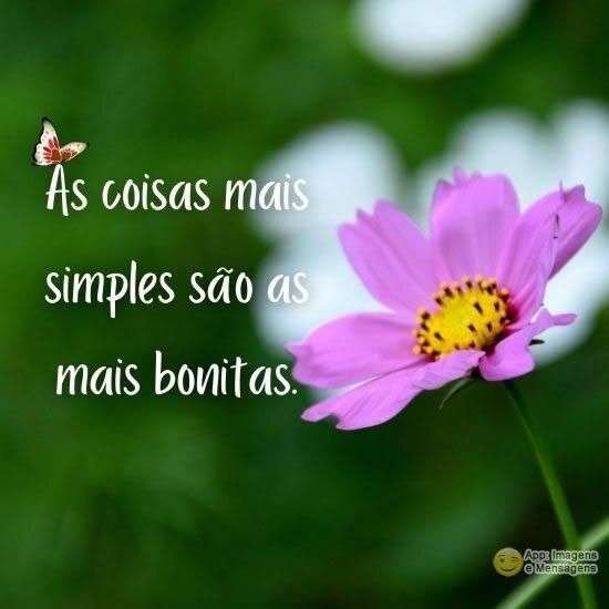 Simples e bonitas