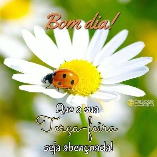 Terça-feira abençoada