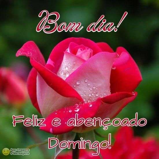 Mensagens de bom domingo para compartilhar | Recado X Mensagens de bom domingo para compartilhar | Recado X