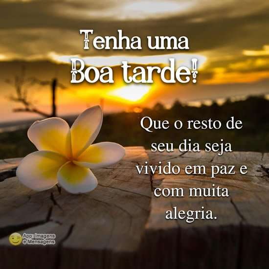 Boa tarde