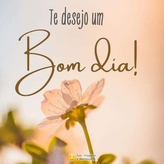 Bom dia