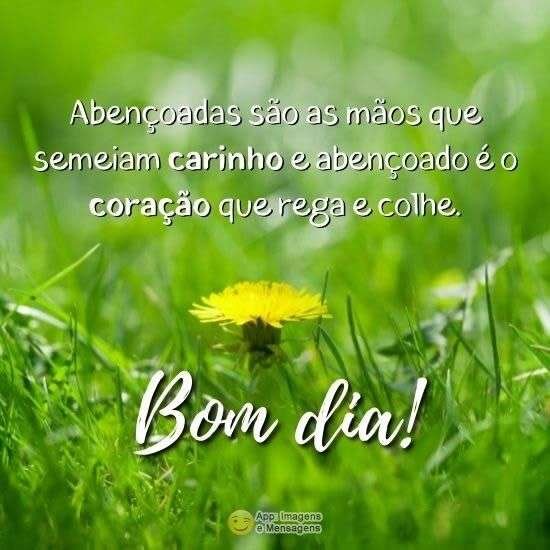 Bom dia