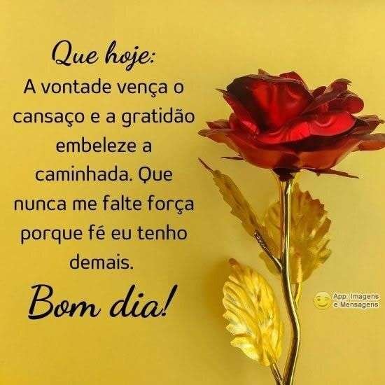 Bom dia