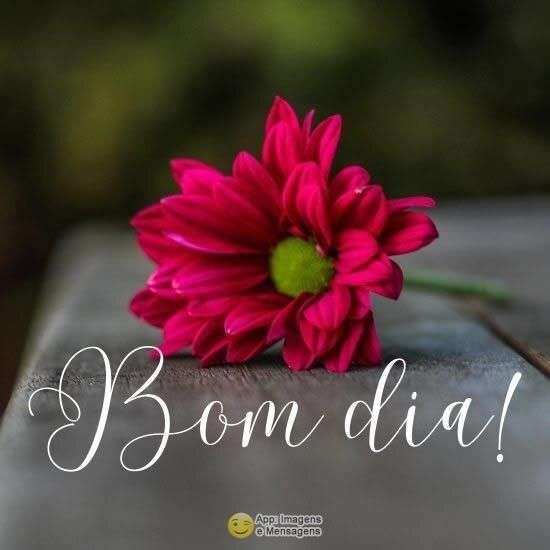 Bom dia