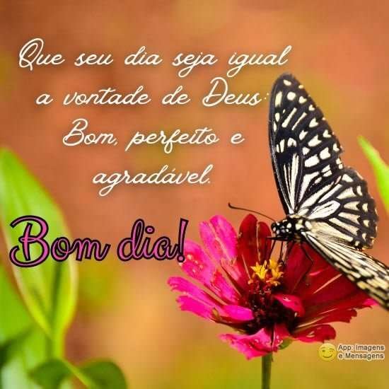 Bom dia