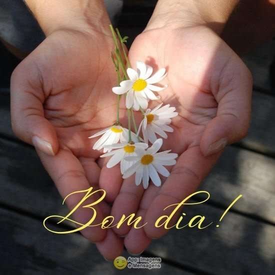 Bom dia