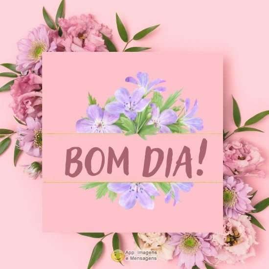 Bom dia