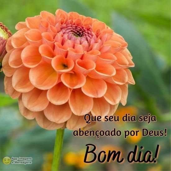 Bom dia