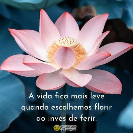 Florir ao invés de ferir