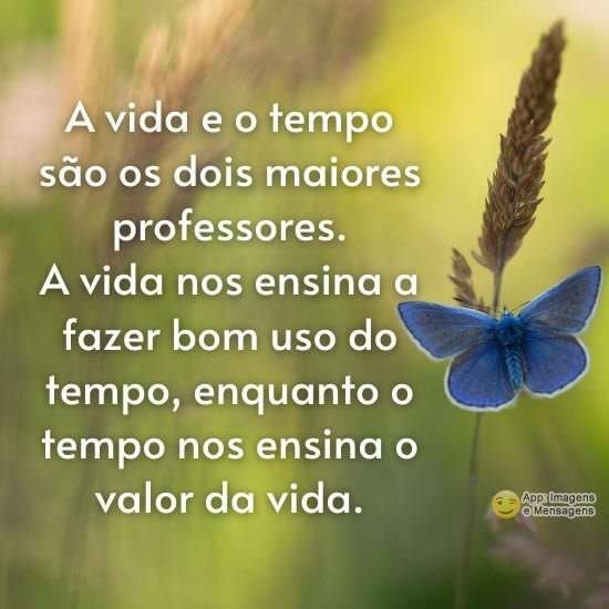 Os maiores professores