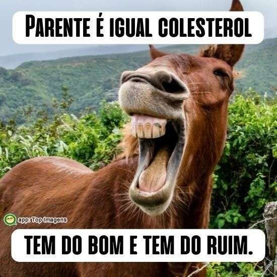 Parente é igual colesterol
