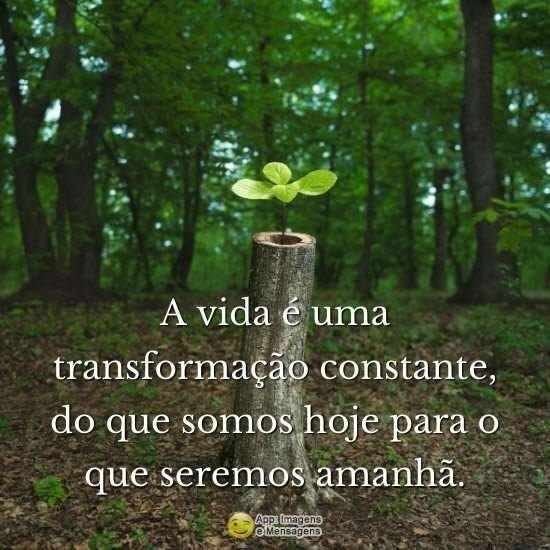 Vida em transformação