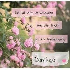 Abençoado domingo