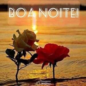 Boa noite