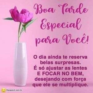 Boa tarde especial