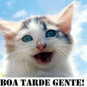 Boa tarde gente