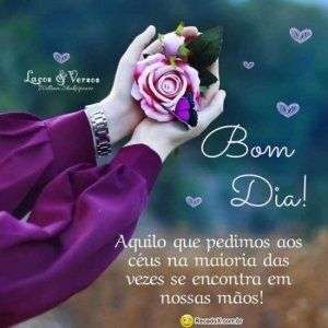 Bom dia