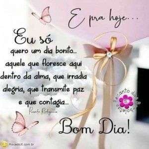 Bom dia