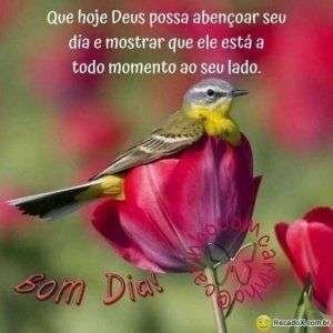 Bom dia