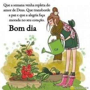 Bom dia