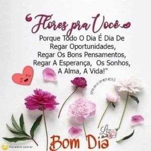 Bom dia