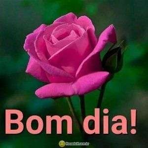Bom dia