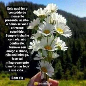Bom dia