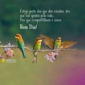 Bom dia