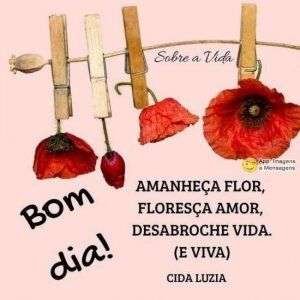 Bom dia