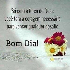 Bom dia