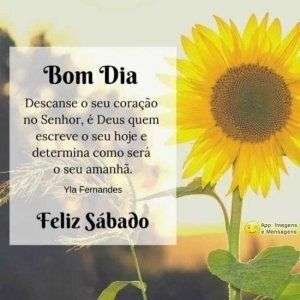 Bom dia e Feliz sábado
