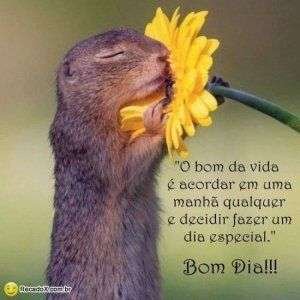Bom dia especial