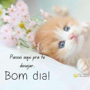 Bom dia pessoa linda